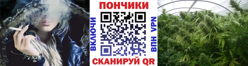 закладка  Тобольск  даркнет официальный сайт  Бошки Шишки семена 
